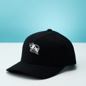 Fabvl Logo Hat
