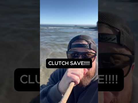 Watch till the end to see the sweet save Pre-save win $100 link in desription #music #funny #song artwork